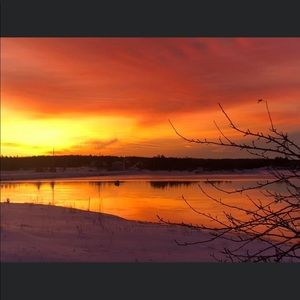 Meet your Posher, Allisha